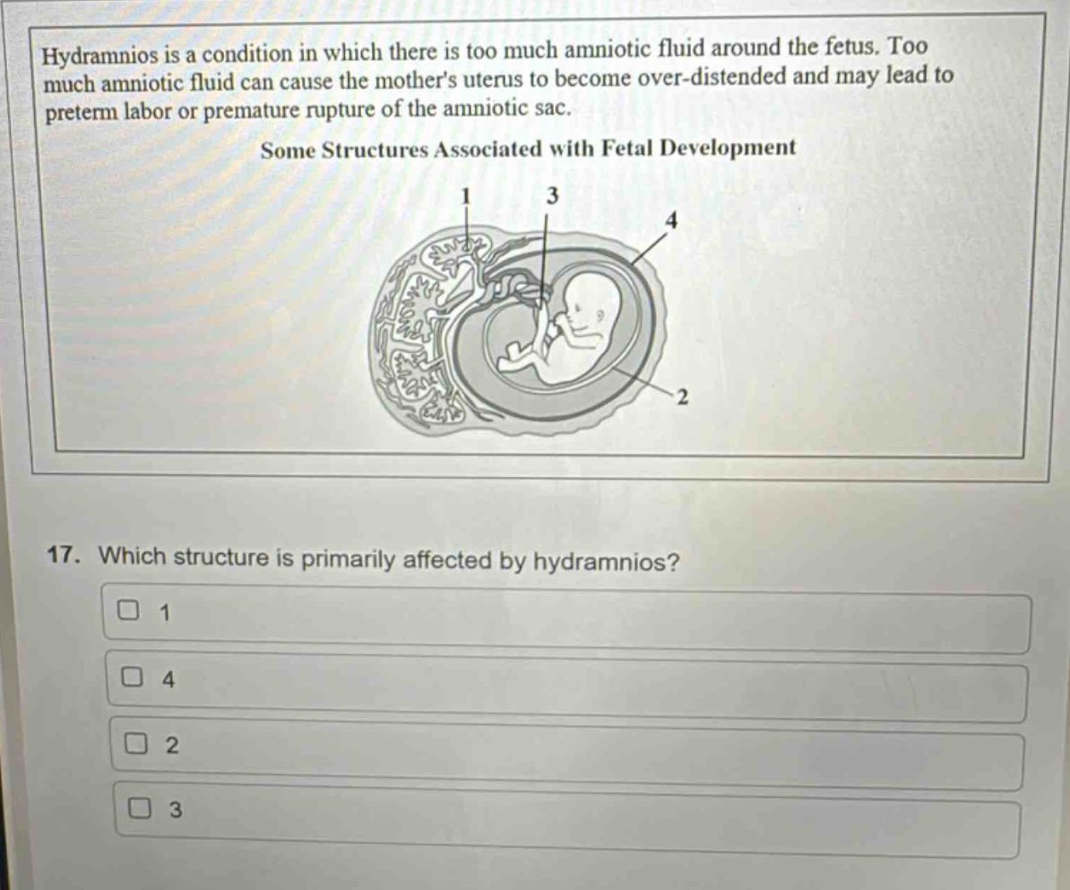 hydramnios is a condition in which there is too much amniotic fluid around the fetus. too much amniotic fluid can cause the mothers uterus to become over - distended and may lead to preterm labor or premature rupture of the amniotic sac.\nsome structures associated with fetal development\n17. which structure is primarily affected by hydramnios?\n□ 1\n□ 4\n□ 2\n□ 3
