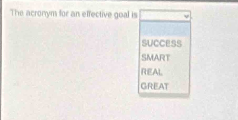 the acronym for an effective goal is