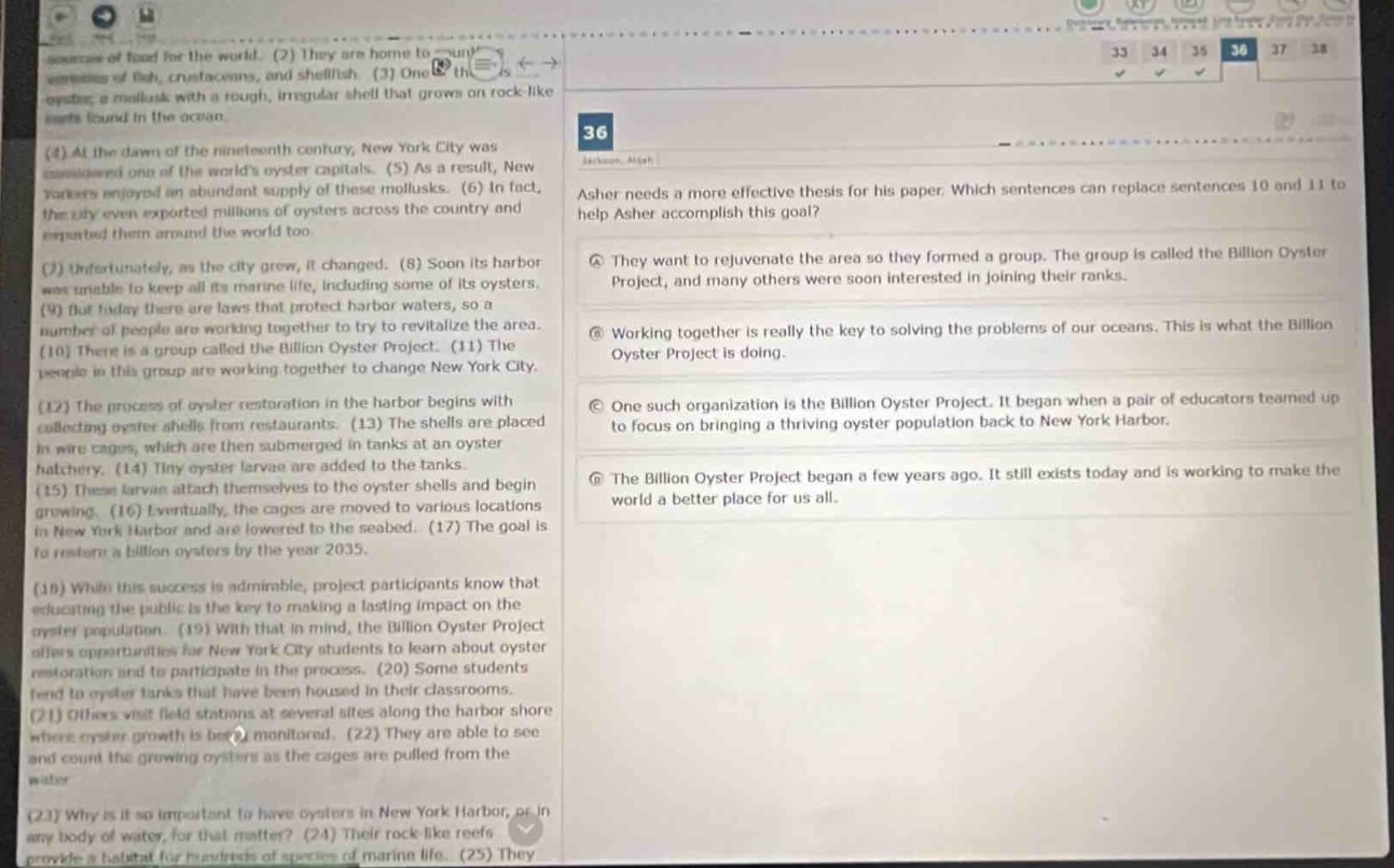 asher needs a more effective thesis for his paper. which sentences can replace sentences 10 and 11 to help asher accomplish this goal? (a) they want to rejuvenate the area so they formed a group. the group is called the billion oyster project, and many others were soon interested in joining their ranks. (b) working together is really the key to solving the problems of our oceans. this is what the billion oyster project is doing. (c) one such organization is the billion oyster project. it began when a pair of educators teamed up to focus on bringing a thriving oyster population back to new york harbor. (d) the billion oyster project began a few years ago. it still exists today and is working to make the world a better place for us all.