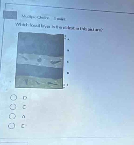 multiple choice 1 point which fossil layer is the oldest in this picture? d c a e