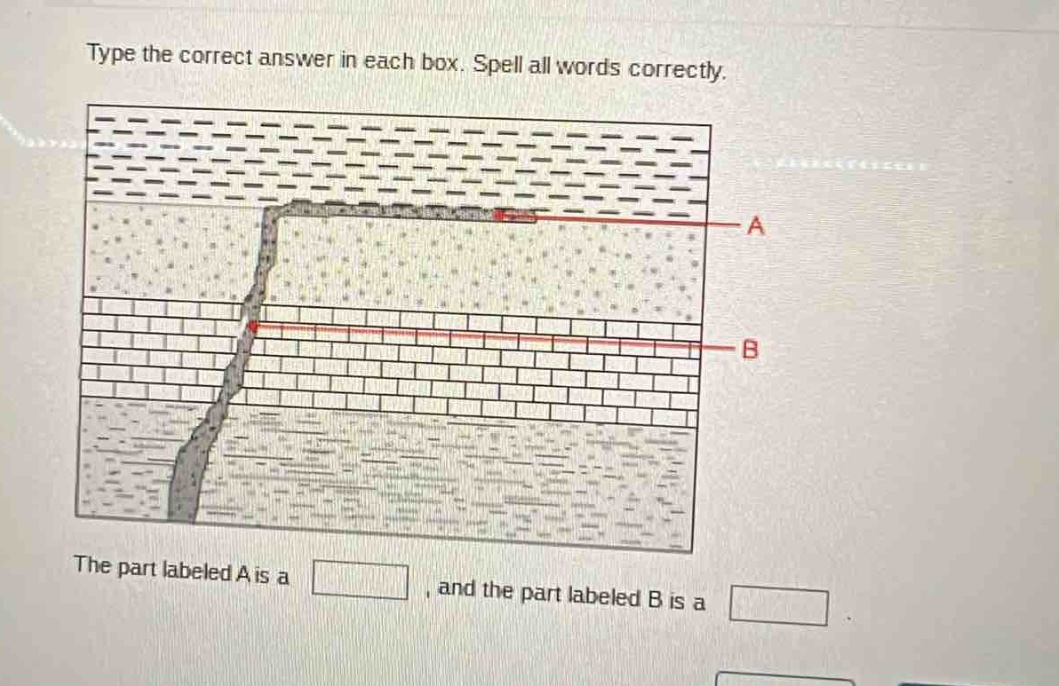 type the correct answer in each box. spell all words correctly. the part labeled a is a , and the part labeled b is a