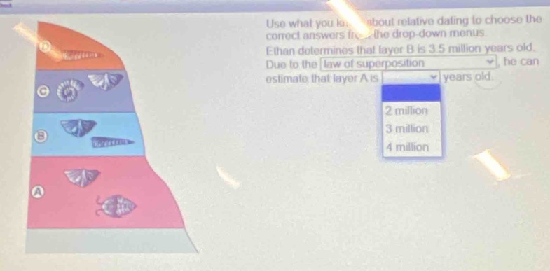 use what you know about relative dating to choose the correct answers from the drop - down menus. ethan determines that layer b is 3.5 million years old. due to the law of superposition, he can estimate that layer a is
