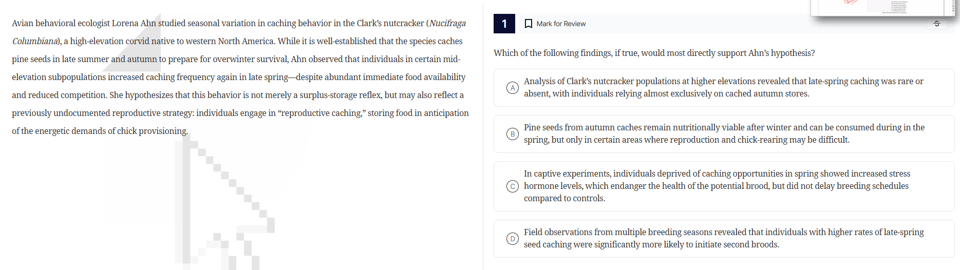 avian behavioral ecologist lorena ahn studied seasonal variation in cac…