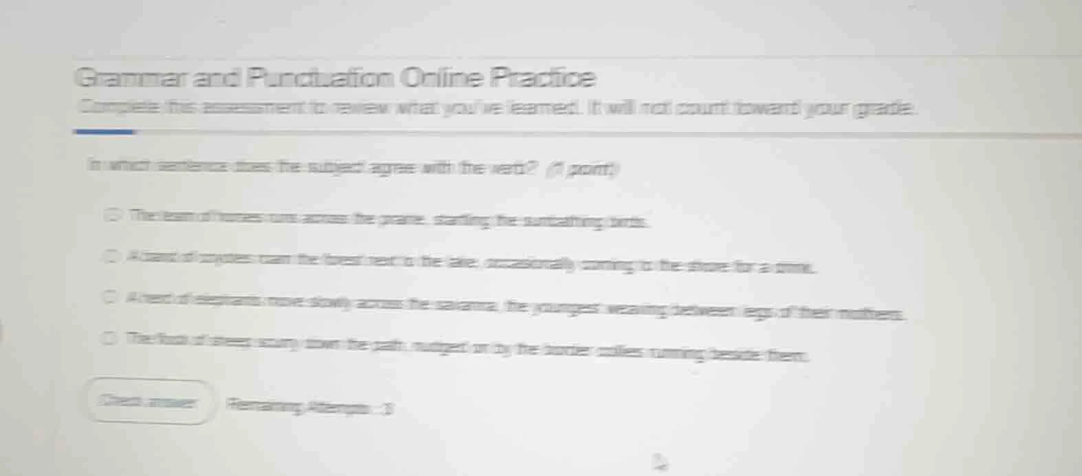 grammar and punctuation online practice complete this assessment to rev…