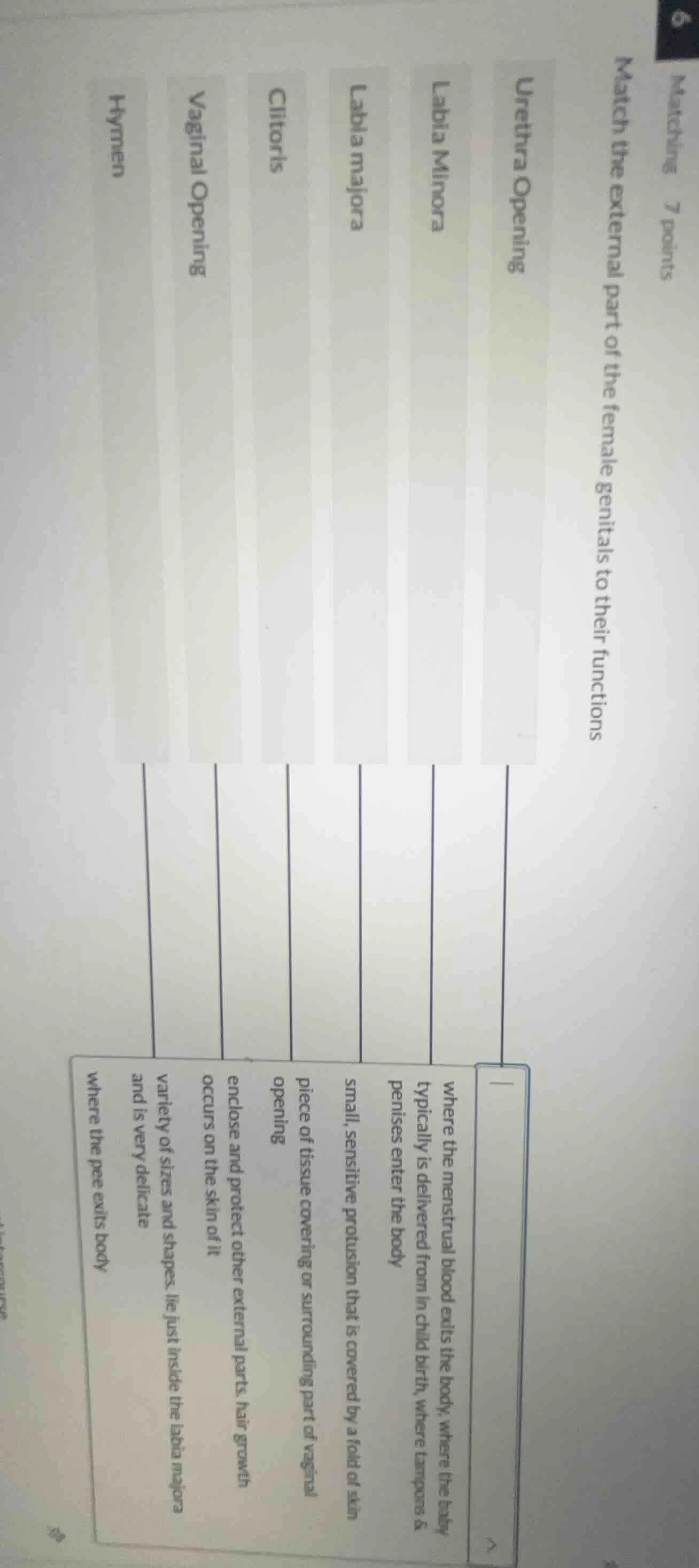 matching 7 points match the external part of the female genitals to the…