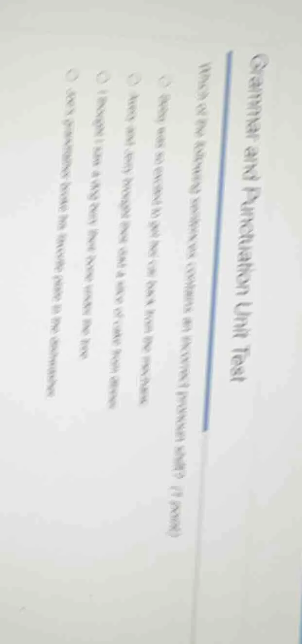 grammar and punctuation unit test which of the following sentences cont…