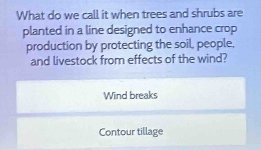 what do we call it when trees and shrubs are planted in a line designed…