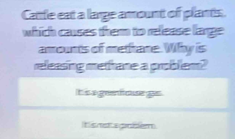 cattle eat a large amount of plants, which causes them to release large…