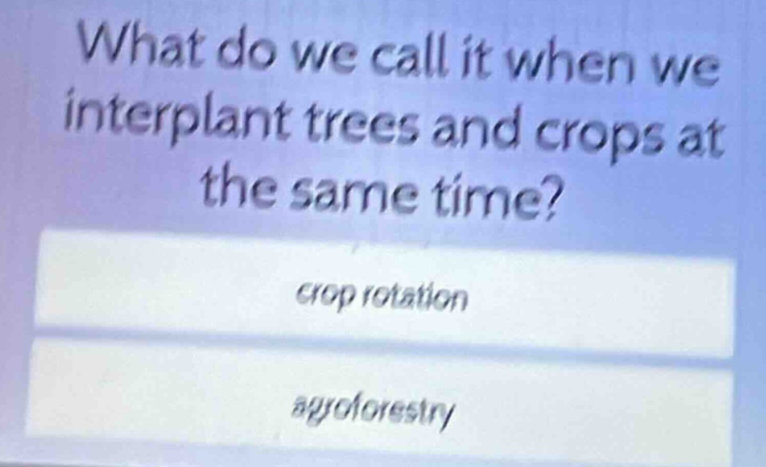 what do we call it when we interplant trees and crops at the same time?…