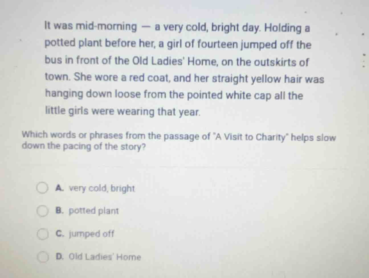 it was mid - morning — a very cold, bright day. holding a potted plant …