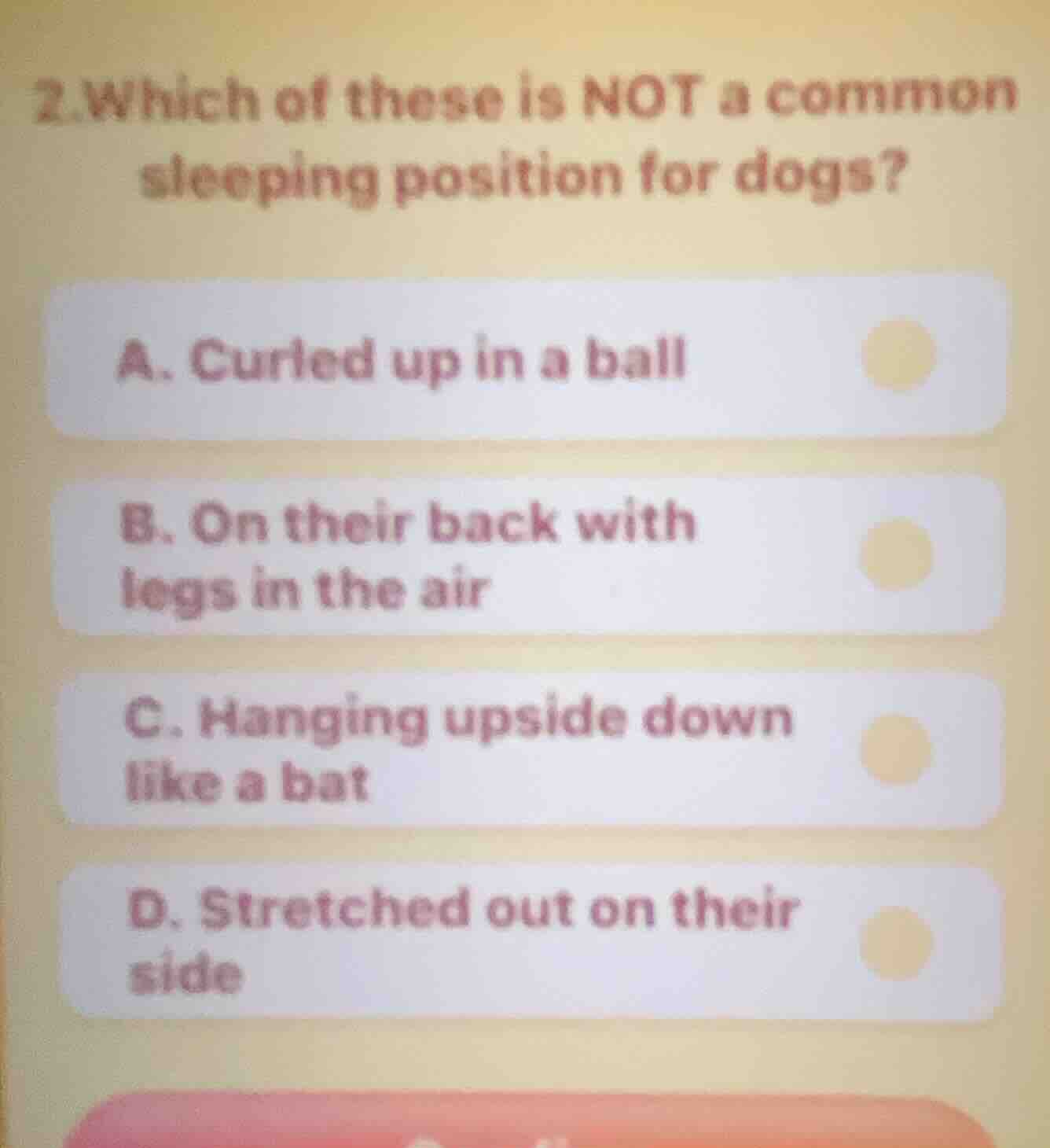 2.which of these is not a common sleeping position for dogs? a. curled …