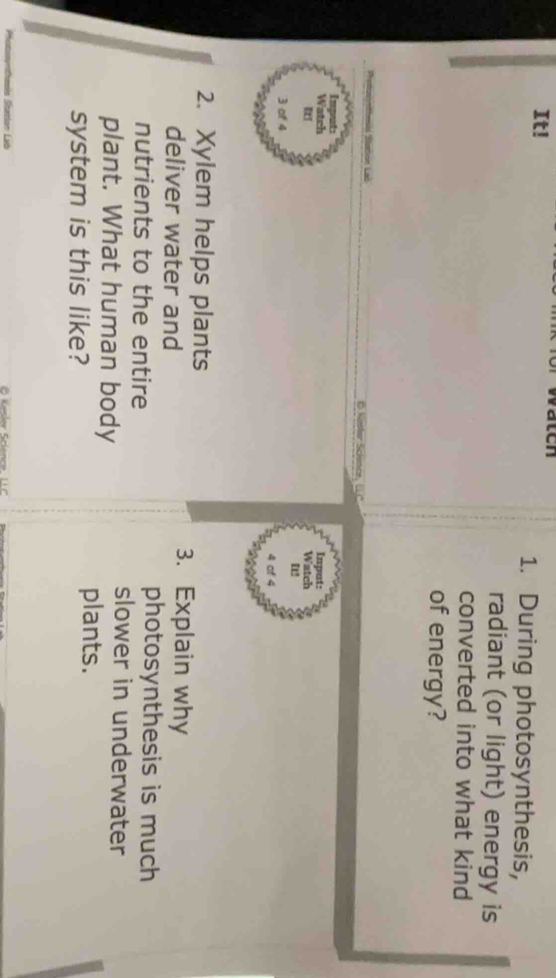 1. during photosynthesis, radiant (or light) energy is converted into w…