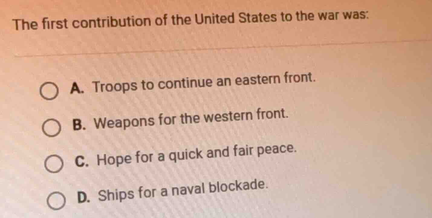 the first contribution of the united states to the war was: a. troops t…