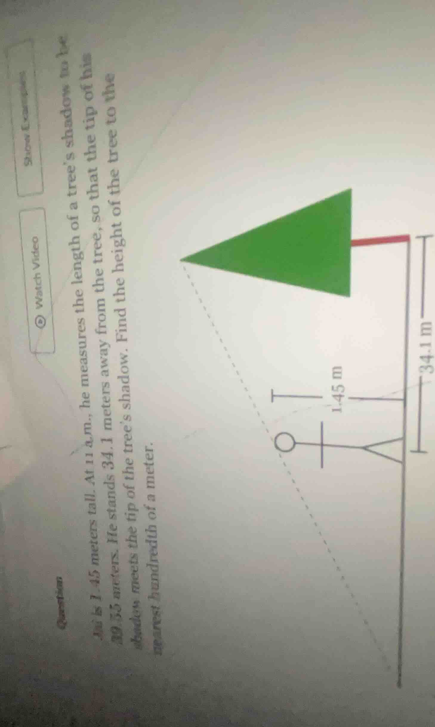 jim is 1.45 meters tall. at 11 a.m., he measures the length of a tree’s…