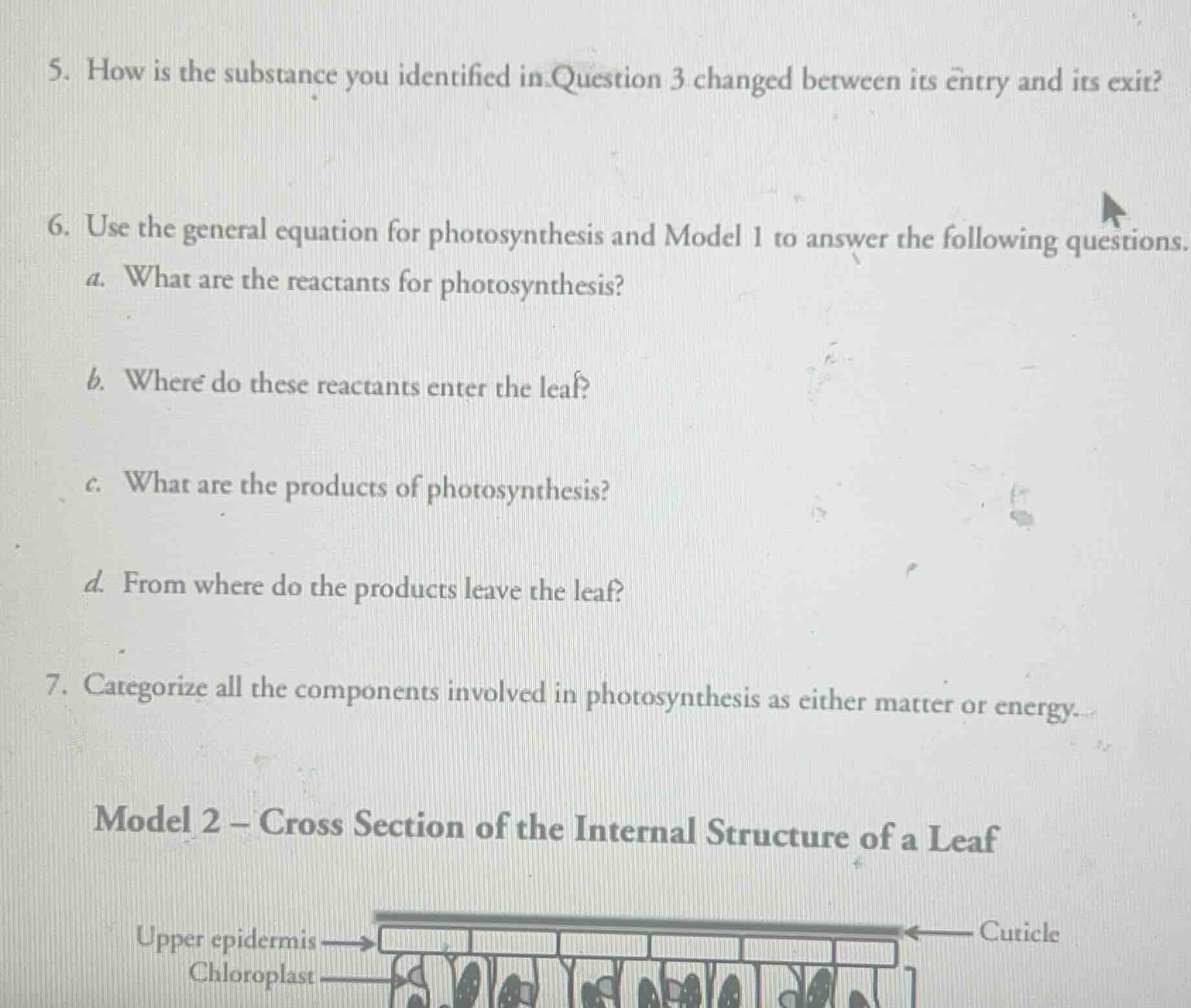 5. how is the substance you identified in question 3 changed between it…