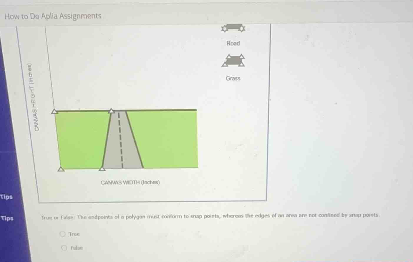 how to do aplia assignments canvas height (inches) canvas width (inches…