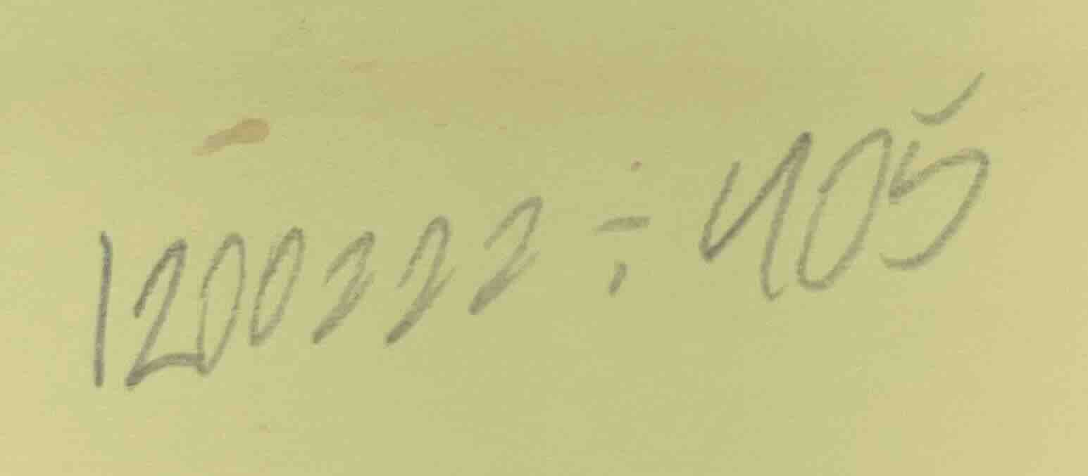1200222 ÷ 405