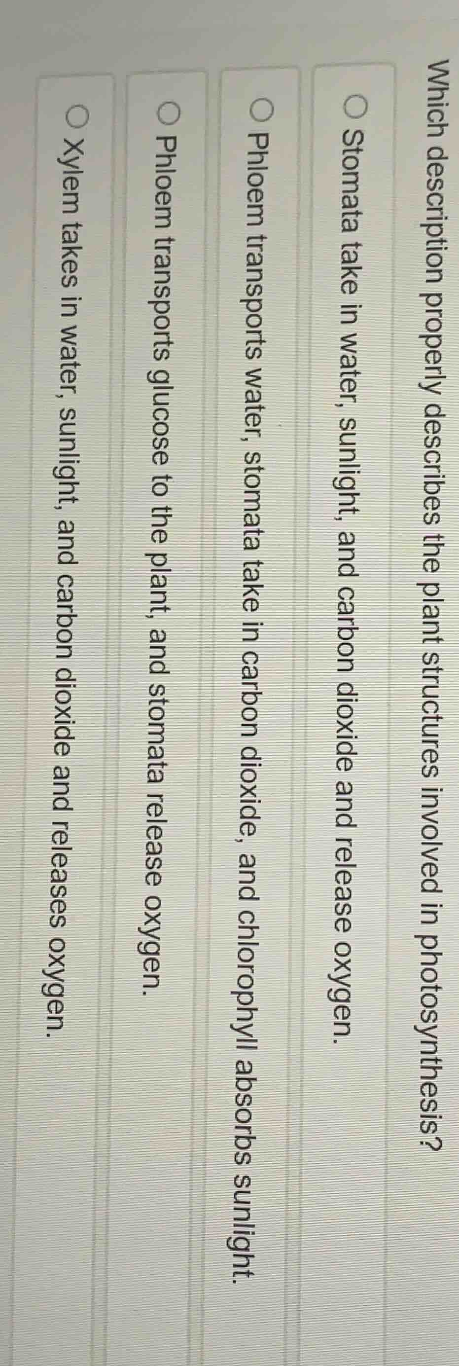 which description properly describes the plant structures involved in p…