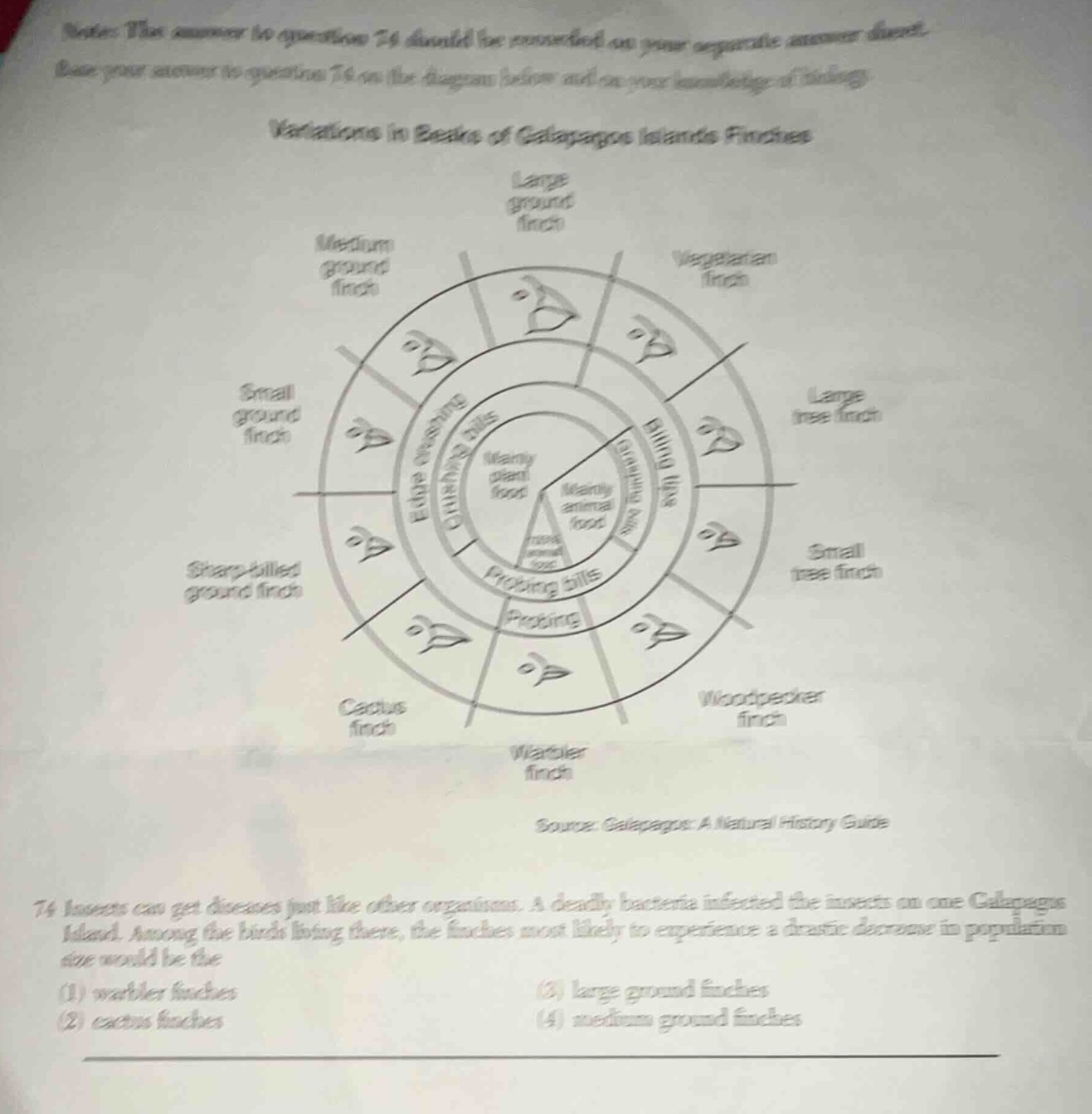 note: this answer to question 74 should be recorded on your separate an…