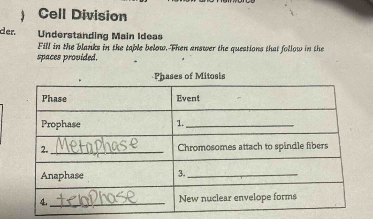 cell division understanding main ideas fill in the blanks in the table …