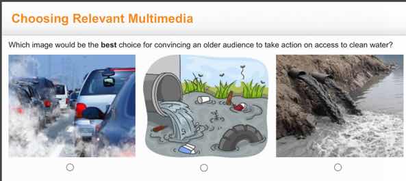 choosing relevant multimedia which image would be the best choice for c…