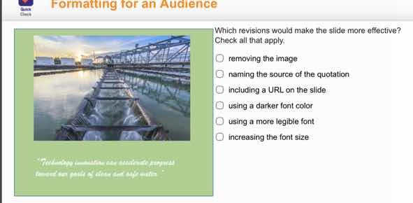 formatting for an audience which revisions would make the slide more ef…