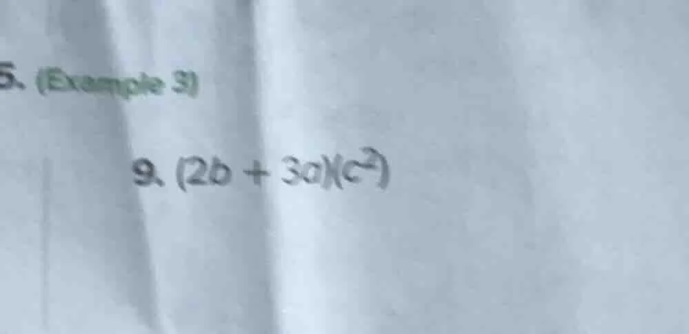 5. (example 3) 9. (2b + 3a)(c²)