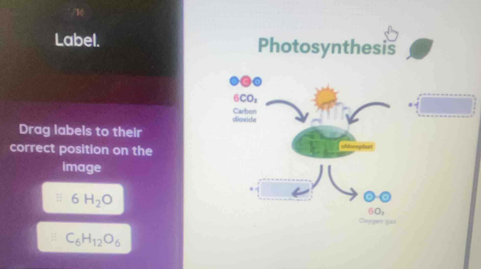label. drag labels to their correct position on the image 6 h₂o c₆h₁₂o₆…