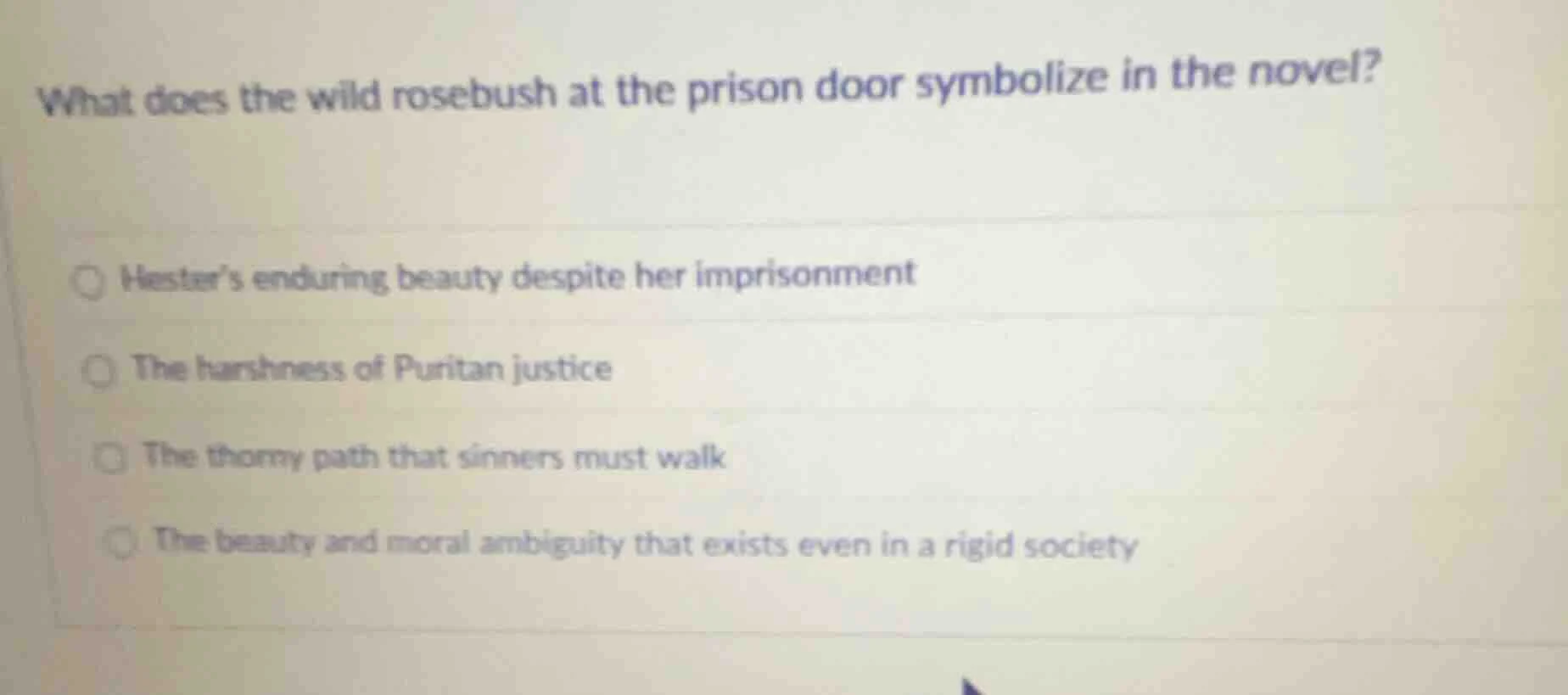 what does the wild rosebush at the prison door symbolize in the novel? …