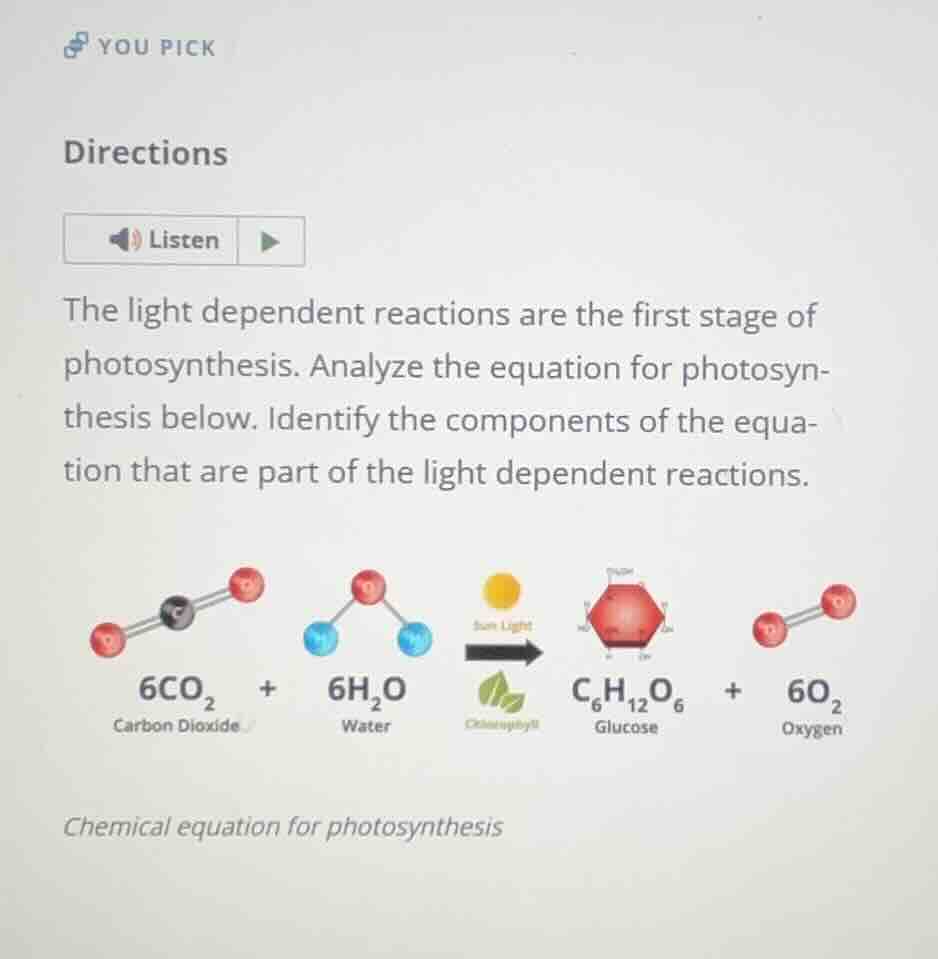 you pick directions listen the light dependent reactions are the first …