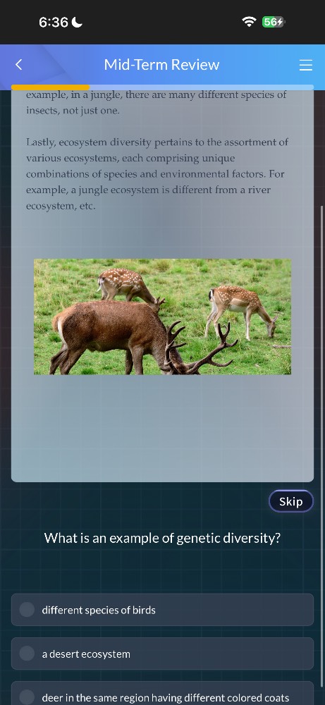 mid - term review example, in a jungle, there are many different specie…