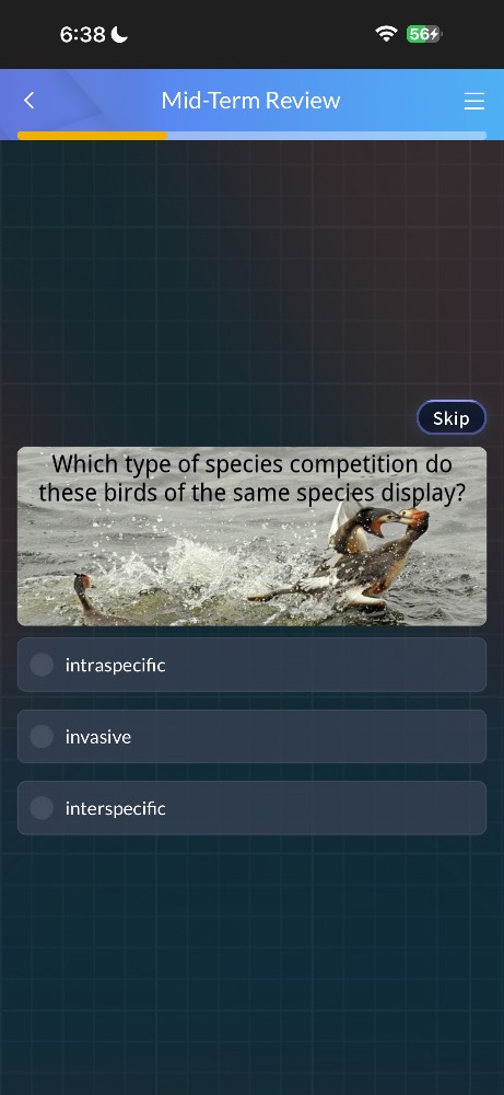 which type of species competition do these birds of the same species di…