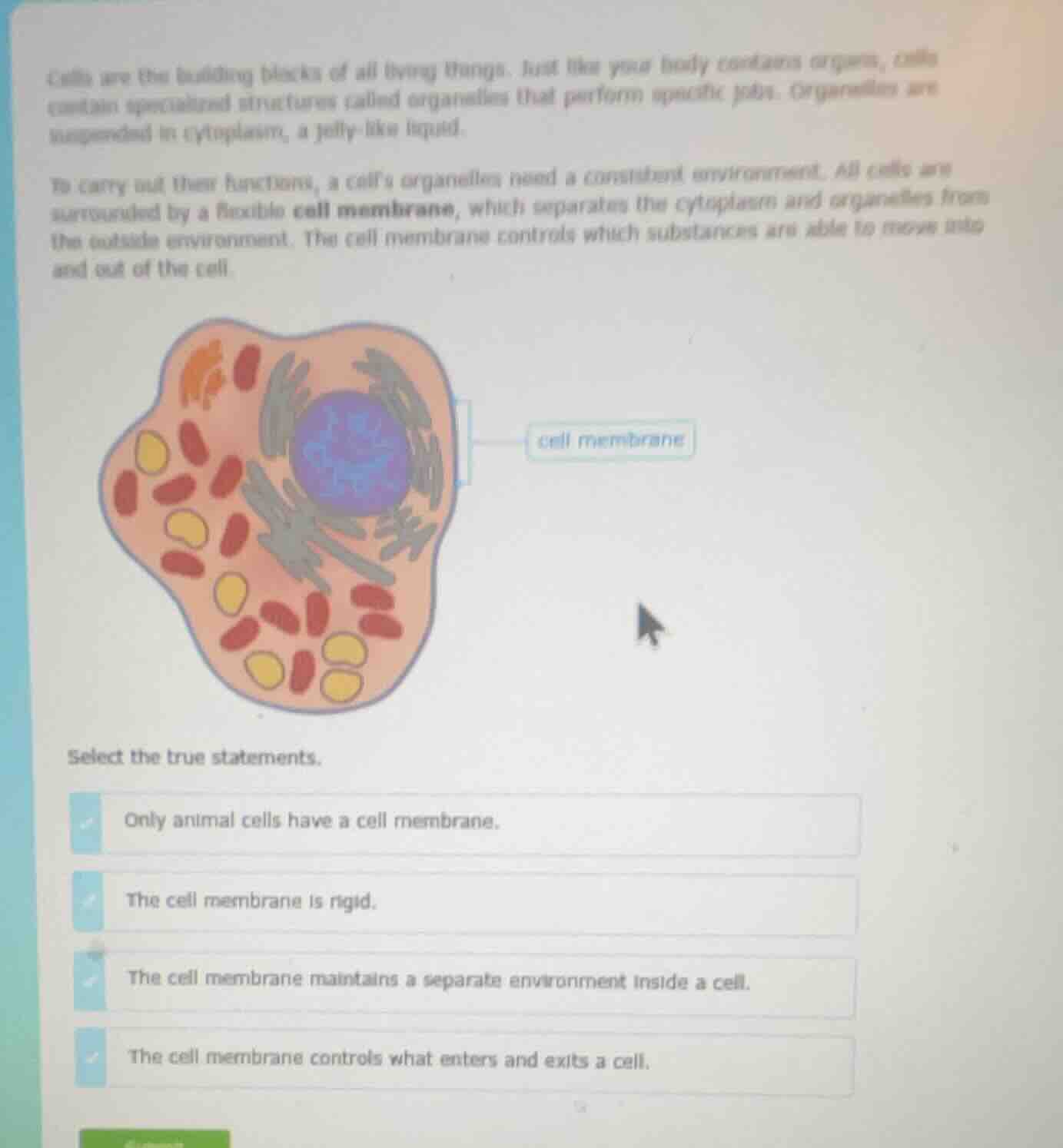 cells are the building blocks of all living things. just like your body…