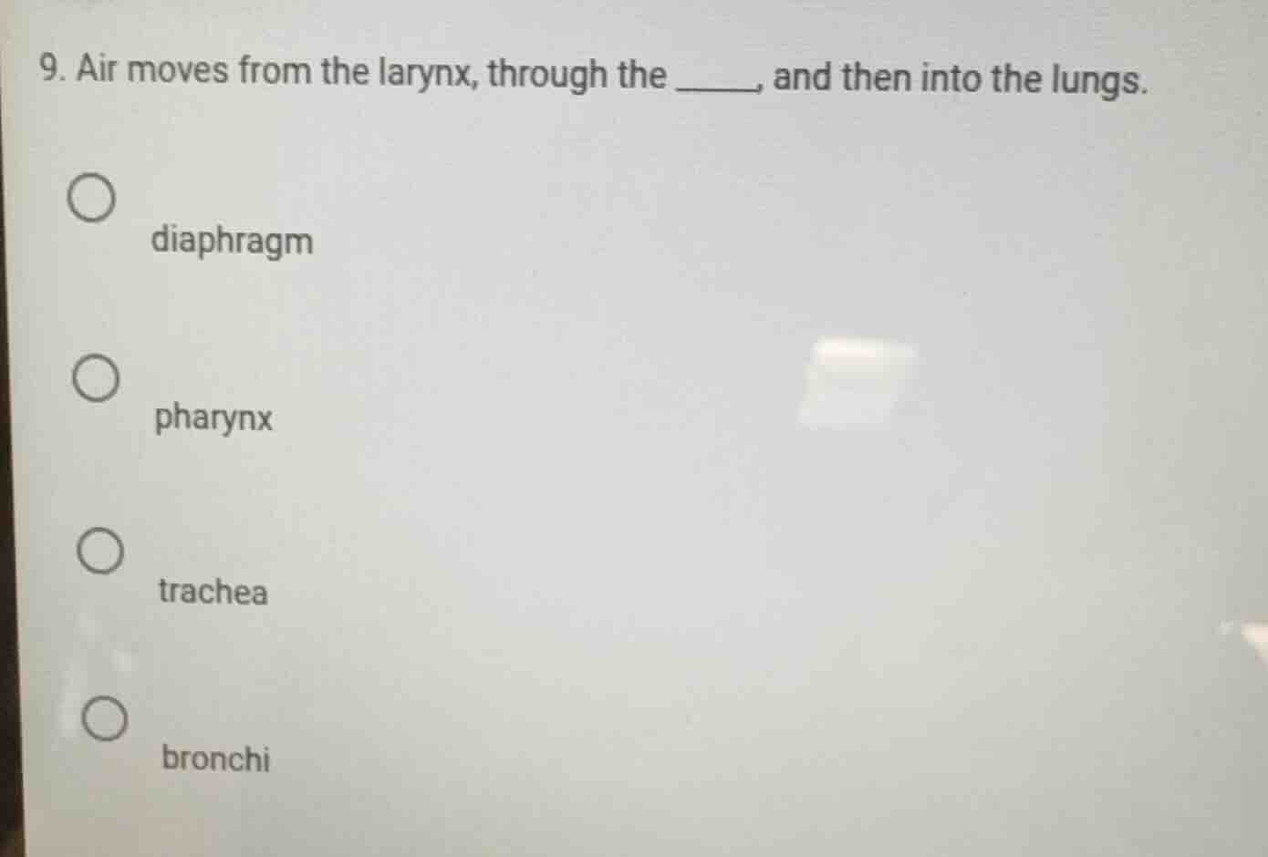 9. air moves from the larynx, through the ______, and then into the lun…
