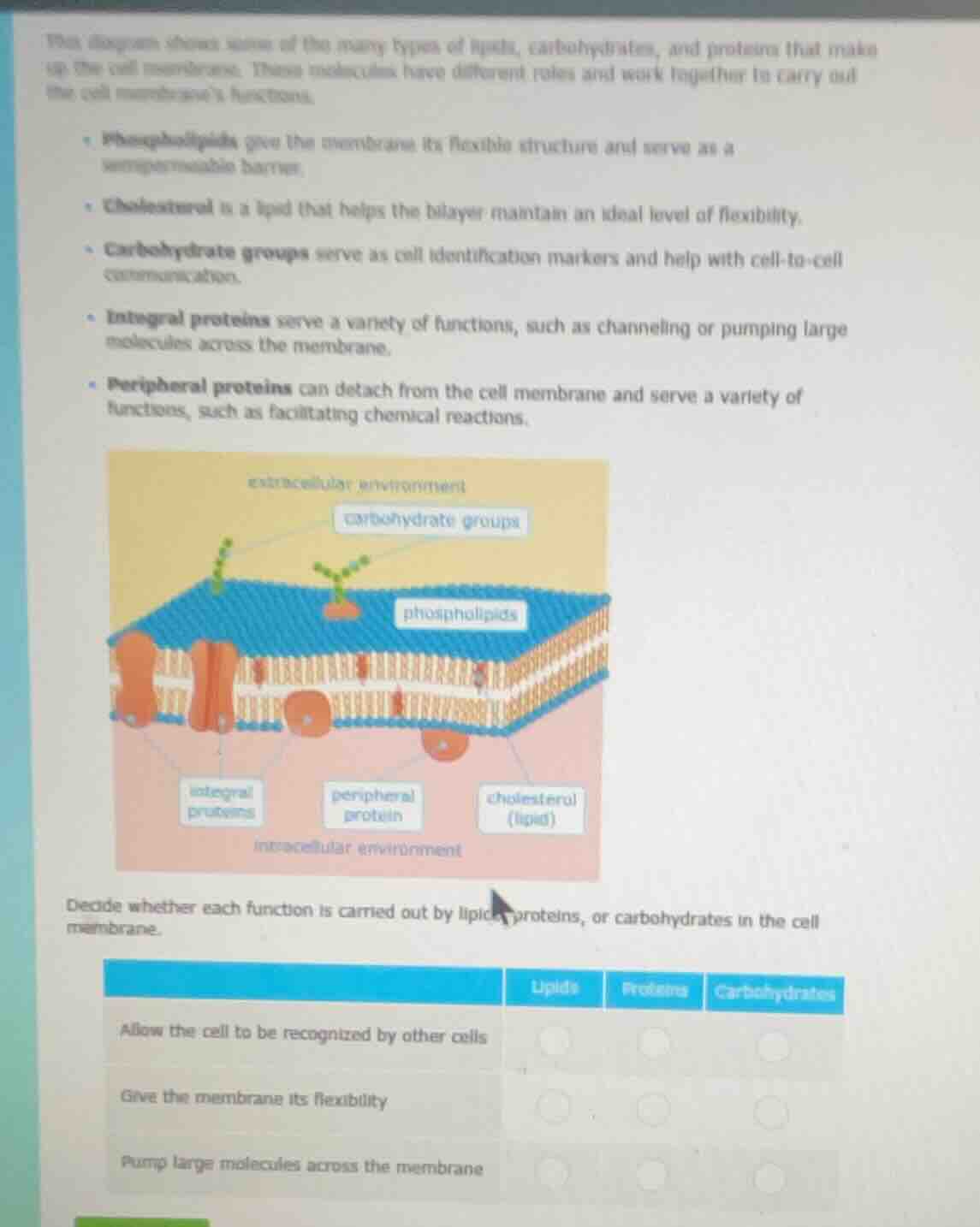 this diagram shows some of the many types of lipids, carbohydrates, and…