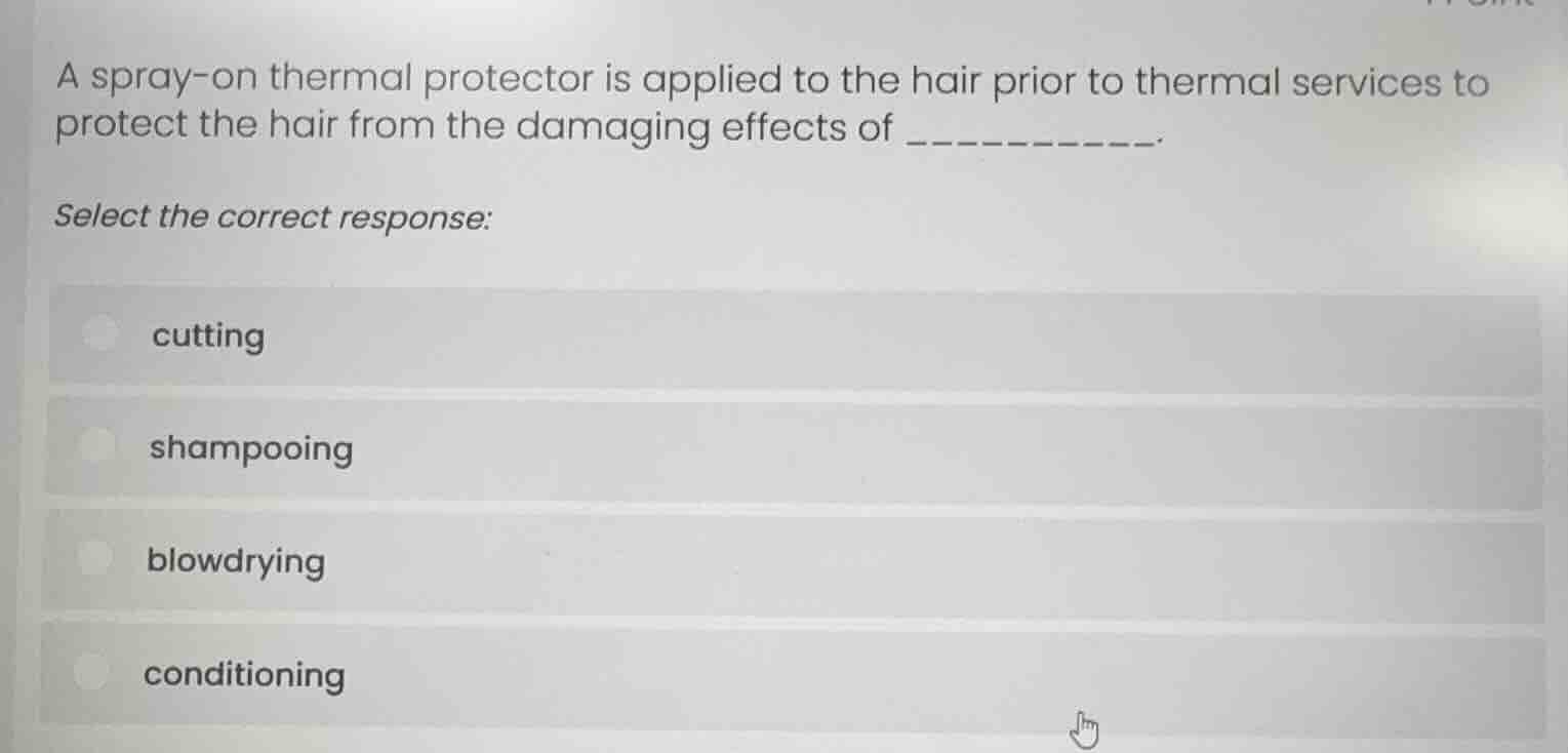 a spray-on thermal protector is applied to the hair prior to thermal se…