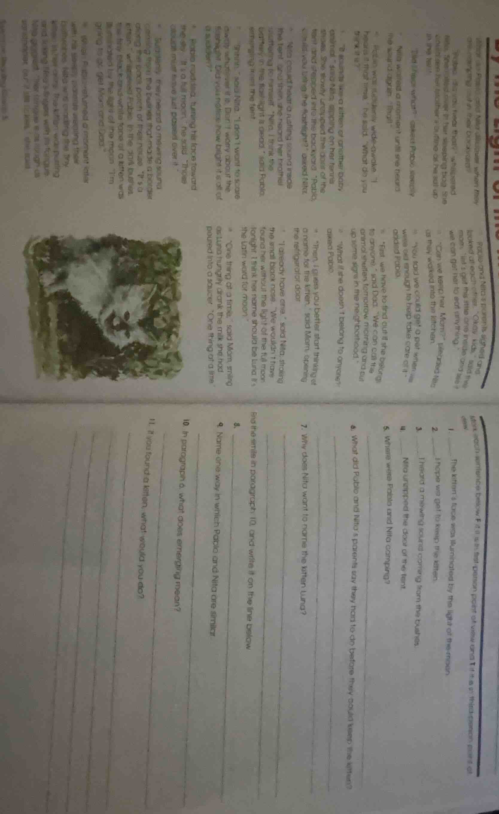 the kitten’s face was illuminated by the light of the moon. i hope we g…