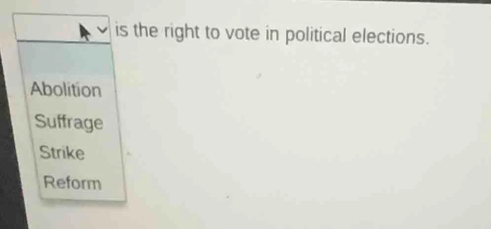is the right to vote in political elections. abolition suffrage strike …