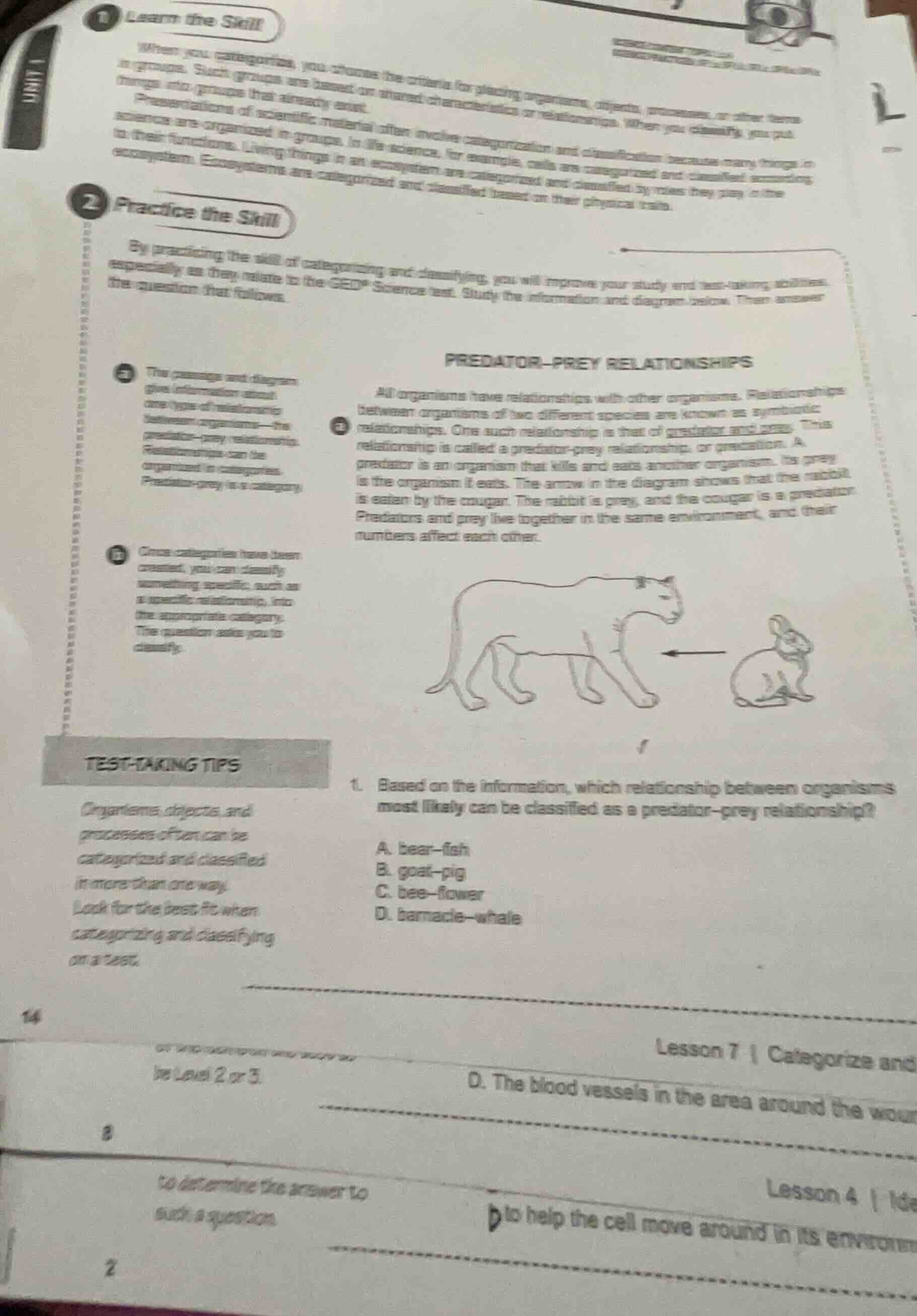 learn the skill when you categorize, you choose the criteria for placin…