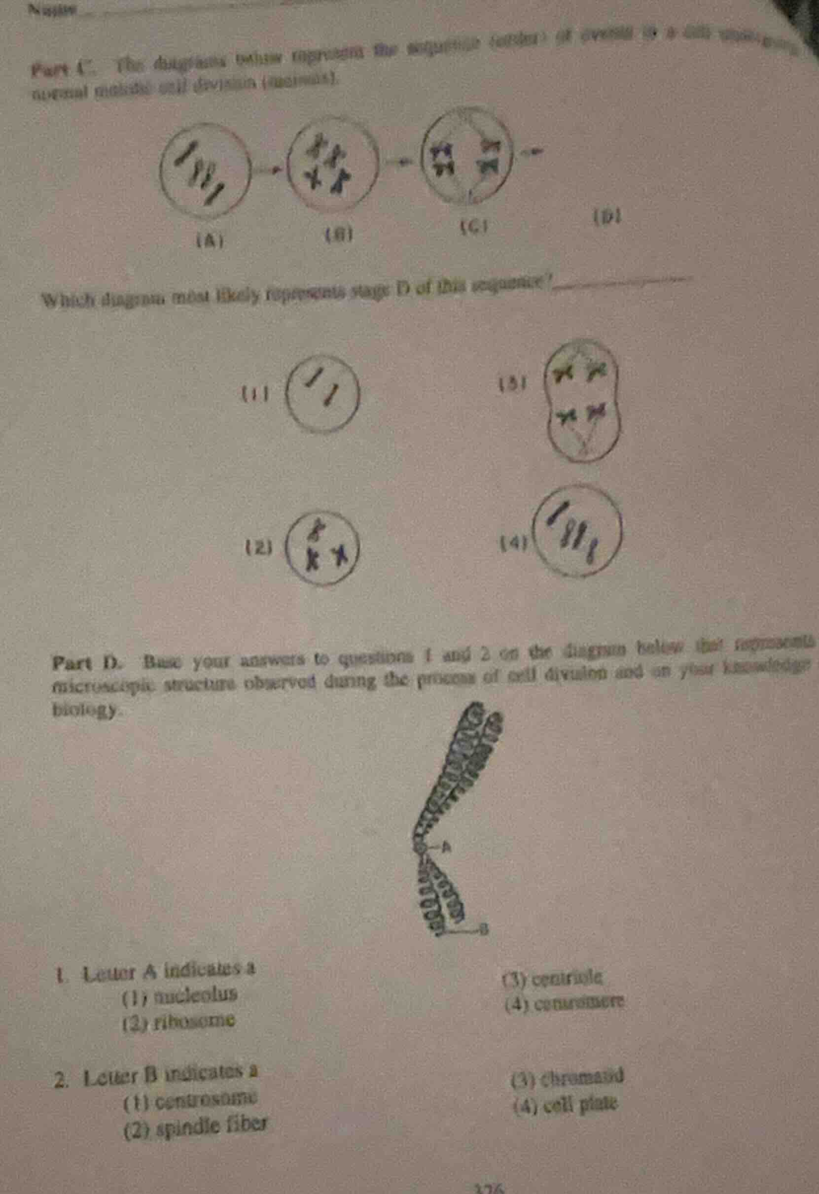 part c. the diagrams below represent the sequence (order) of events in …