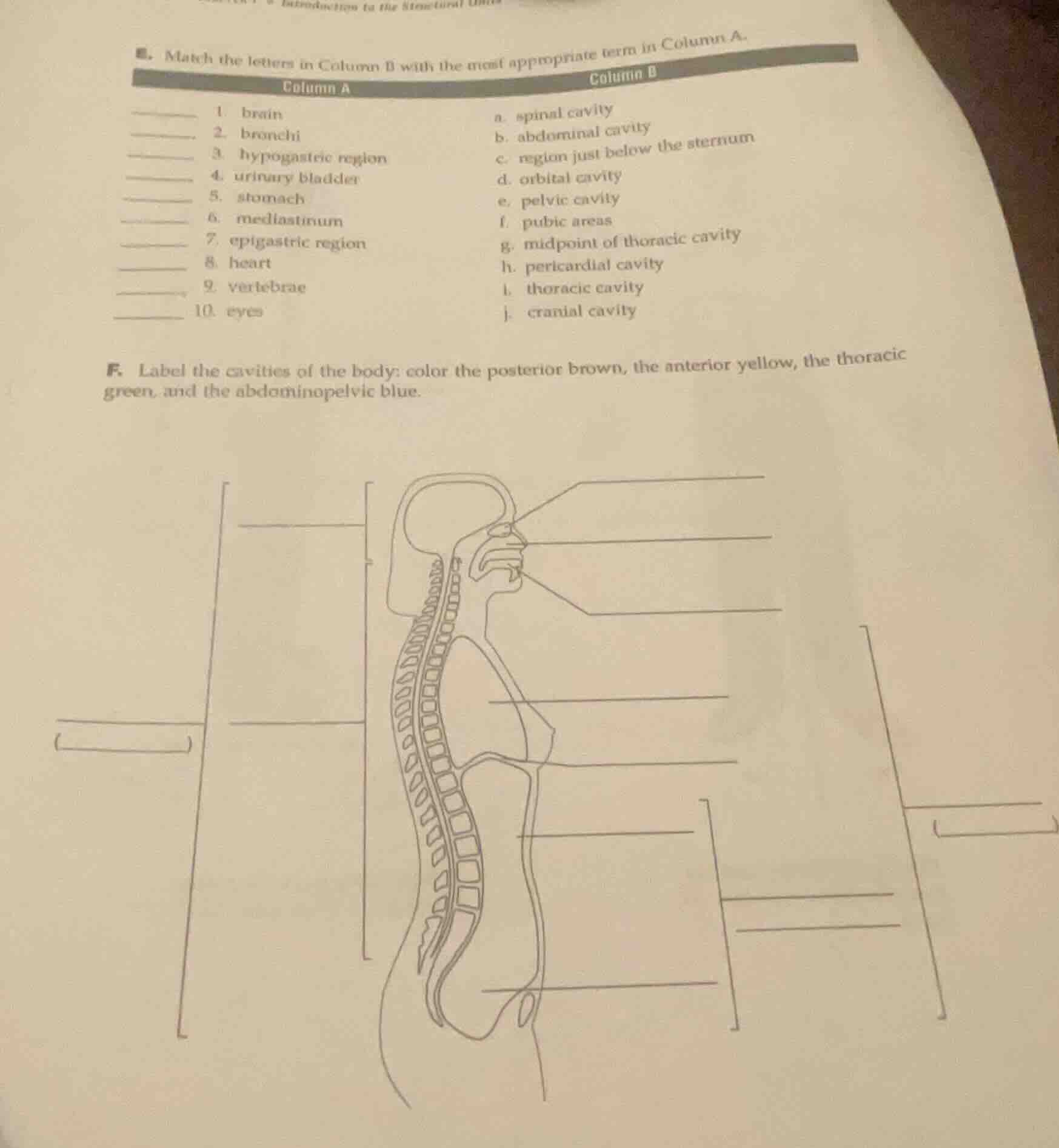 e. match the letters in column b with the most appropriate term in colu…