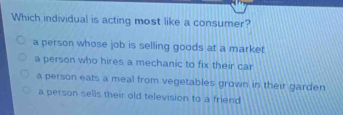 which individual is acting most like a consumer? ○ a person whose job i…