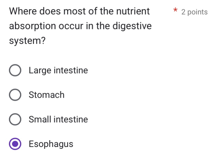 where does most of the nutrient absorption occur in the digestive syste…