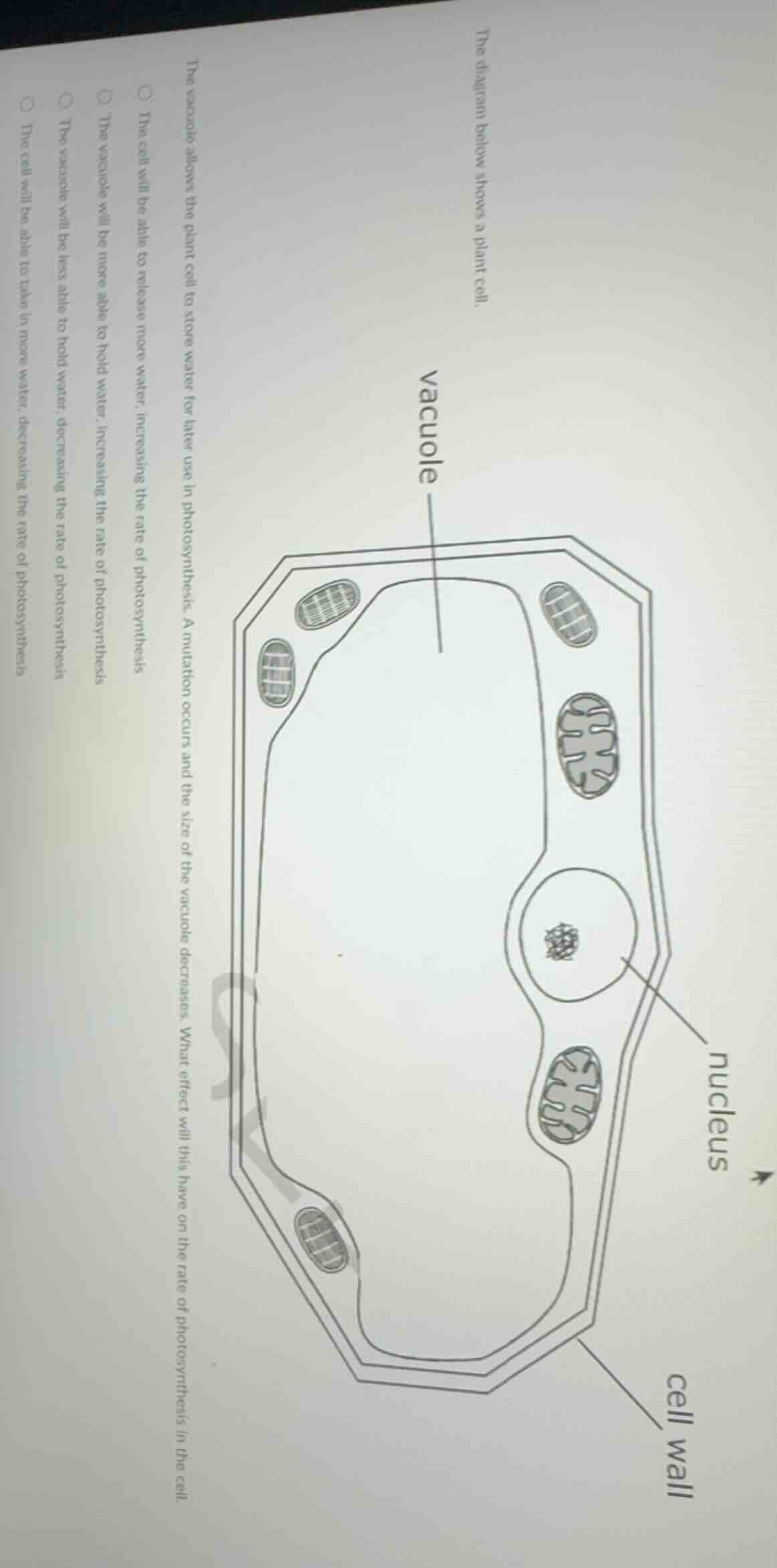 the diagram below shows a plant cell. the vacuole allows the plant cell…