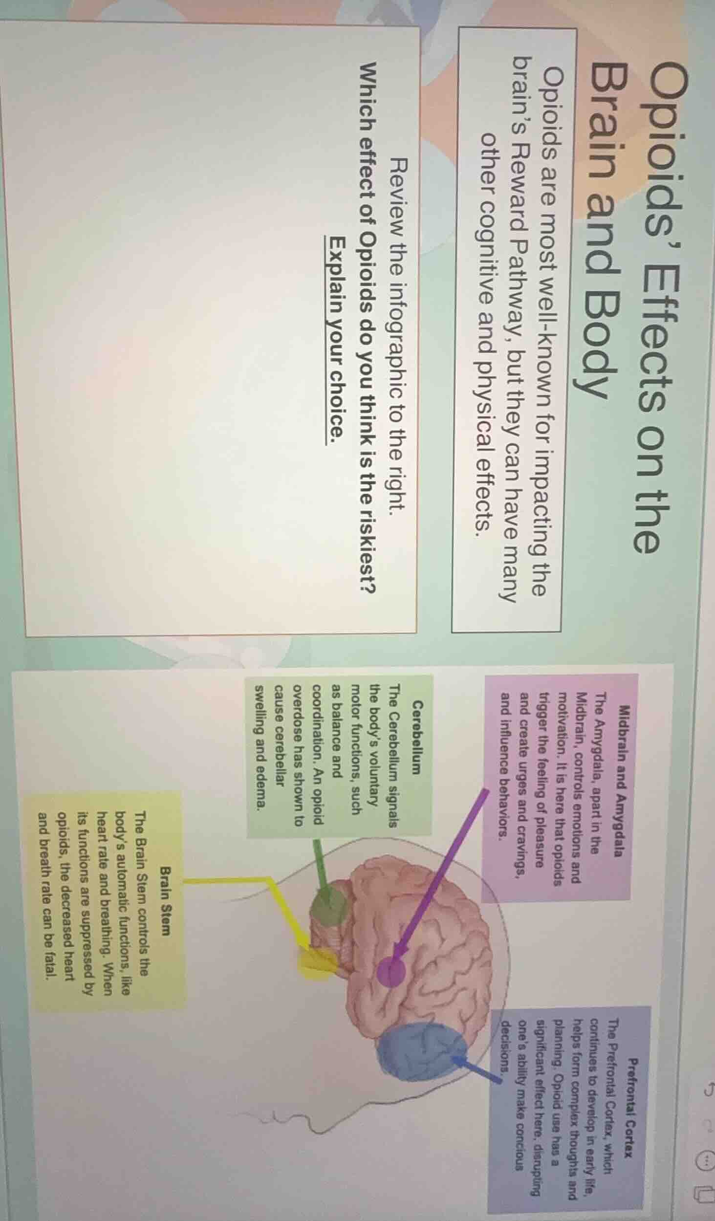 opioids’ effects on the brain and body opioids are most well - known fo…