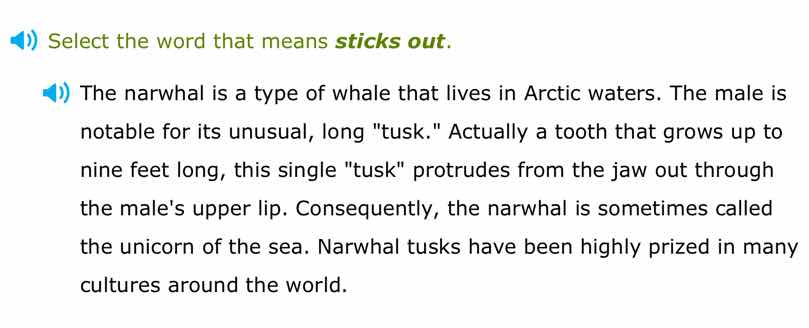select the word that means sticks out. the narwhal is a type of whale t…