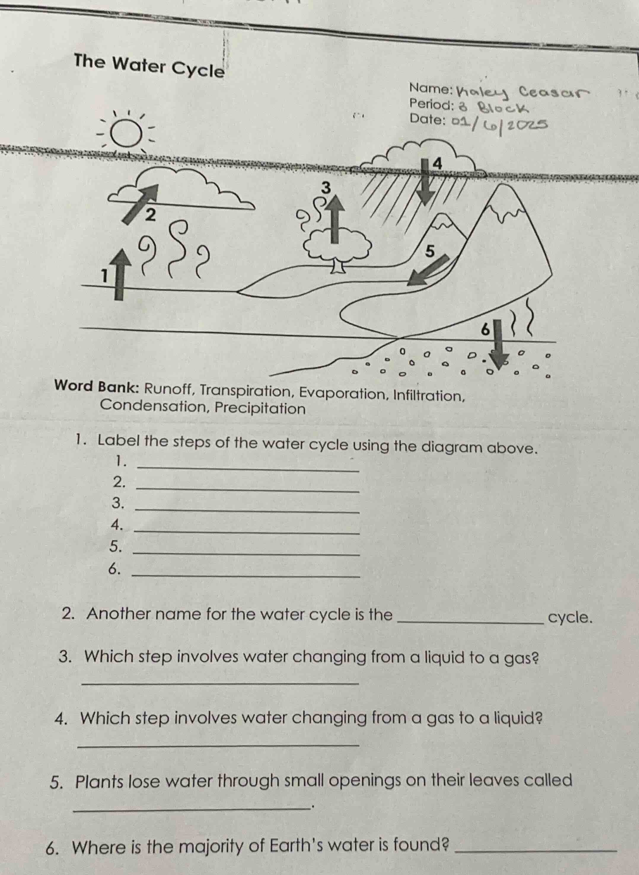 the water cycle name: haley ceasar period: 3 block date: 01/6/2025 word…