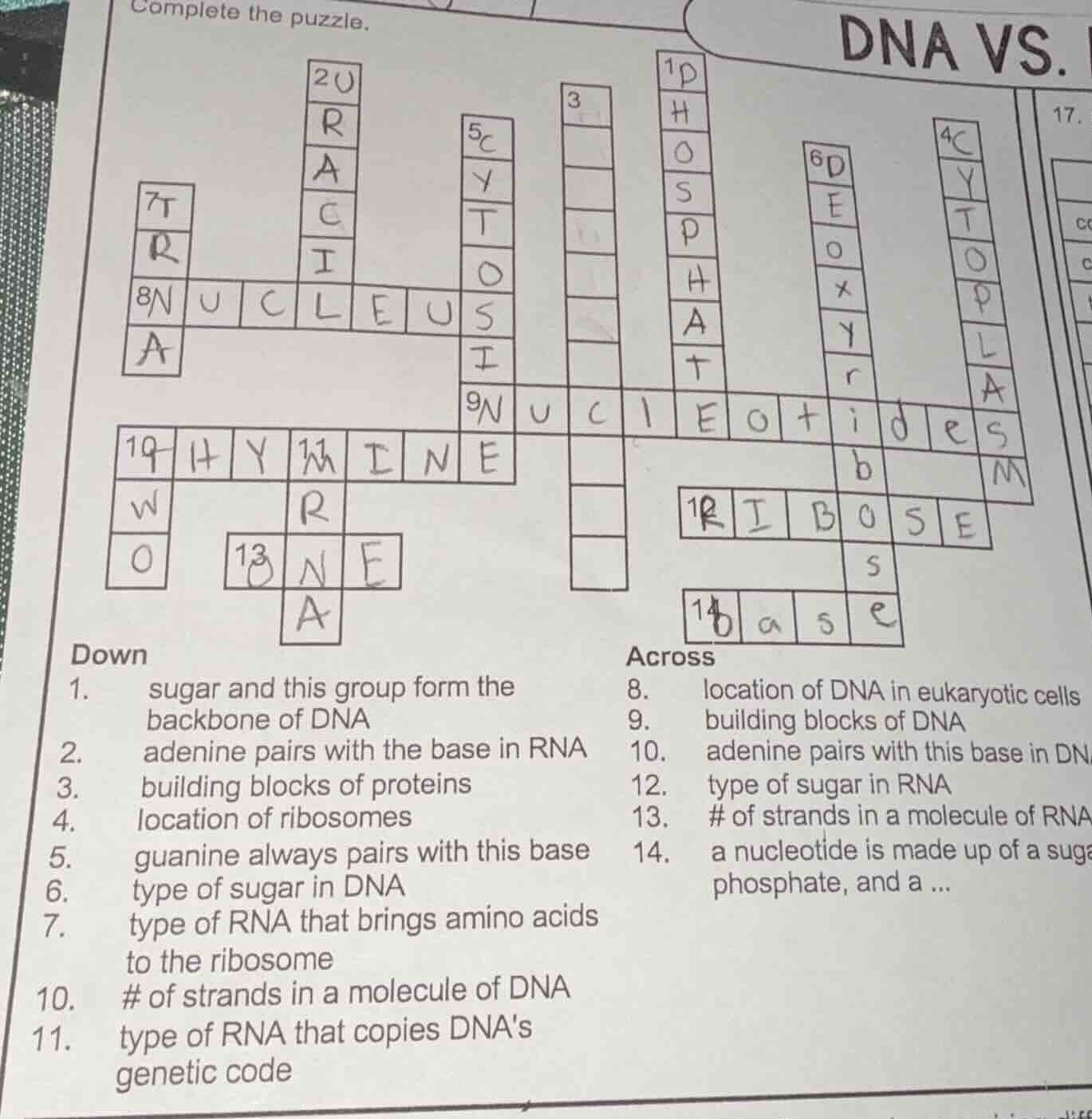 complete the puzzle. down 1. sugar and this group form the backbone of …
