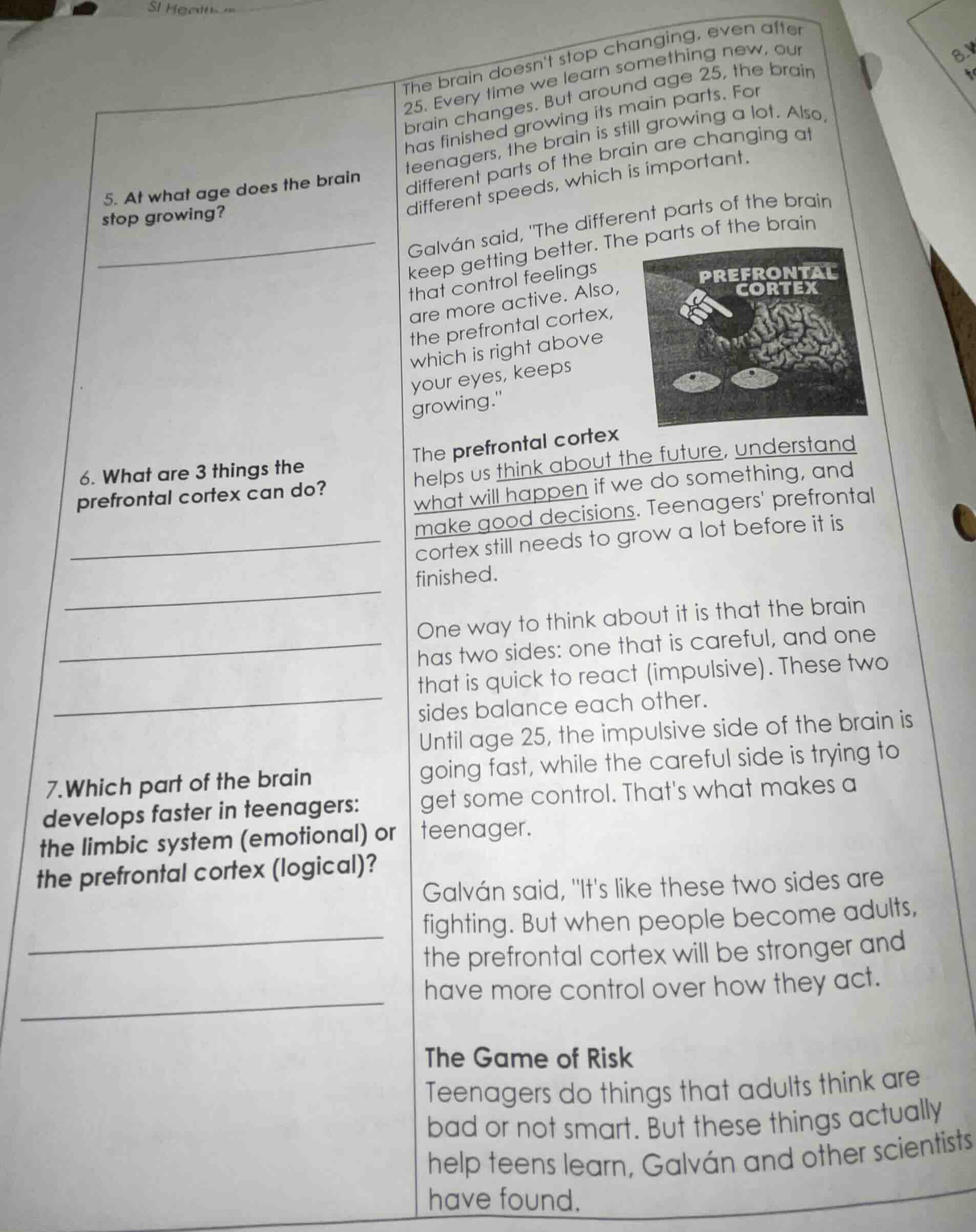 5. at what age does the brain stop growing? 6. what are 3 things the pr…