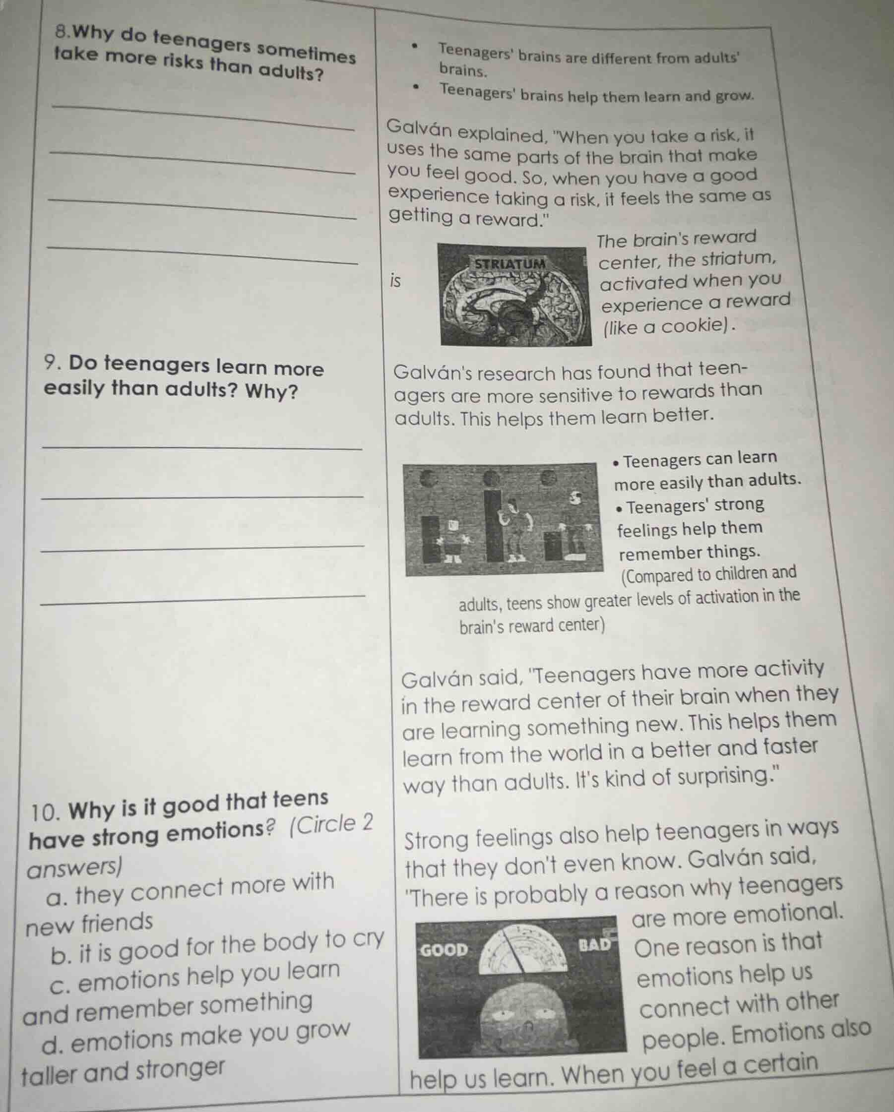 8.why do teenagers sometimes take more risks than adults? teenagers bra…